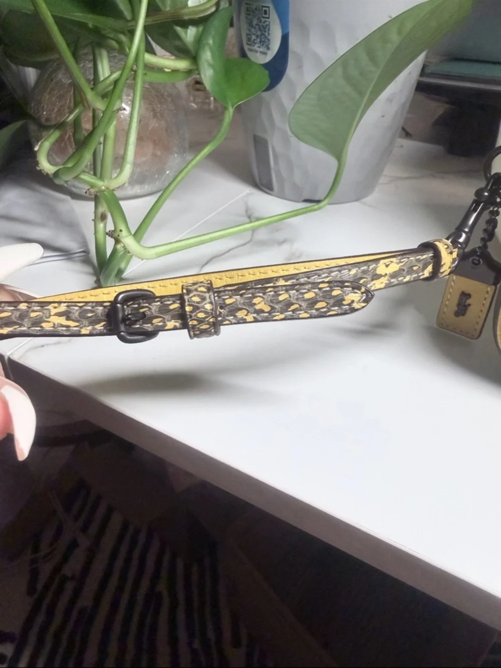 COACH HAY YELLOW/COLORBLOCK EXOTIC SNAKESKIN CLUTCH - Picture 2 of 8